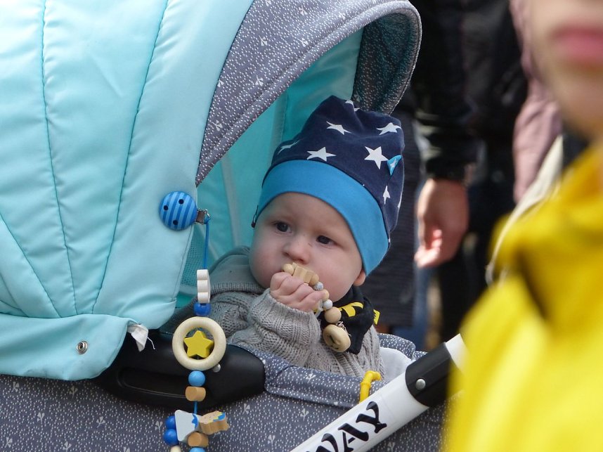 Herbstcross im Nordh&auml;user Gehege