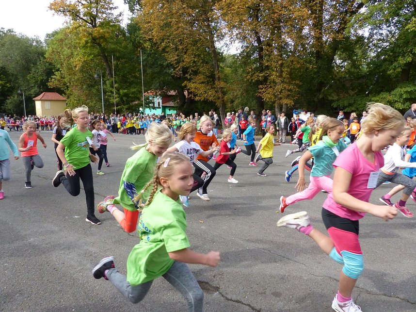 Herbstcross im Nordh&auml;user Gehege