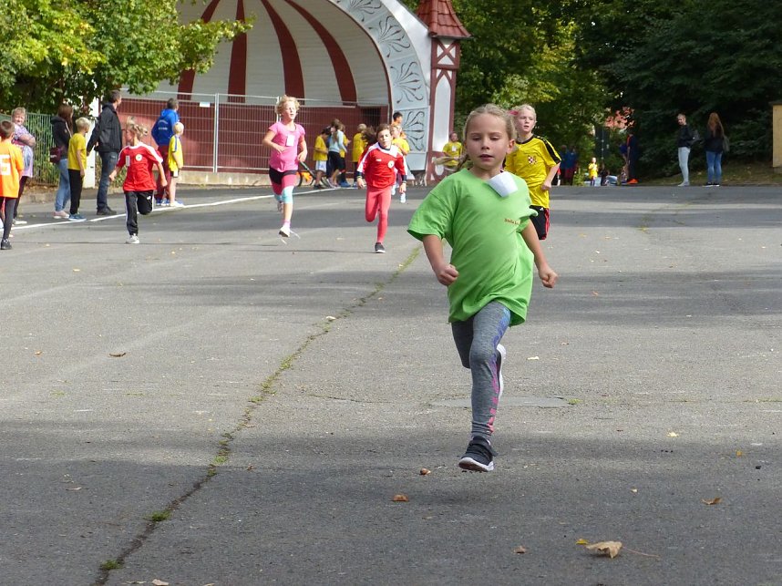 Herbstcross im Nordh&auml;user Gehege