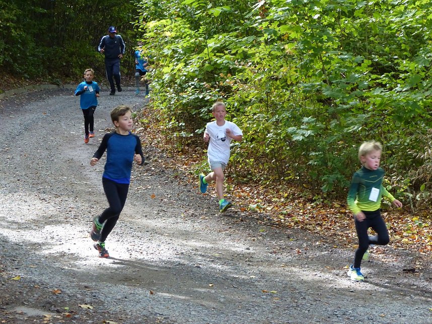 Herbstcross im Nordh&auml;user Gehege