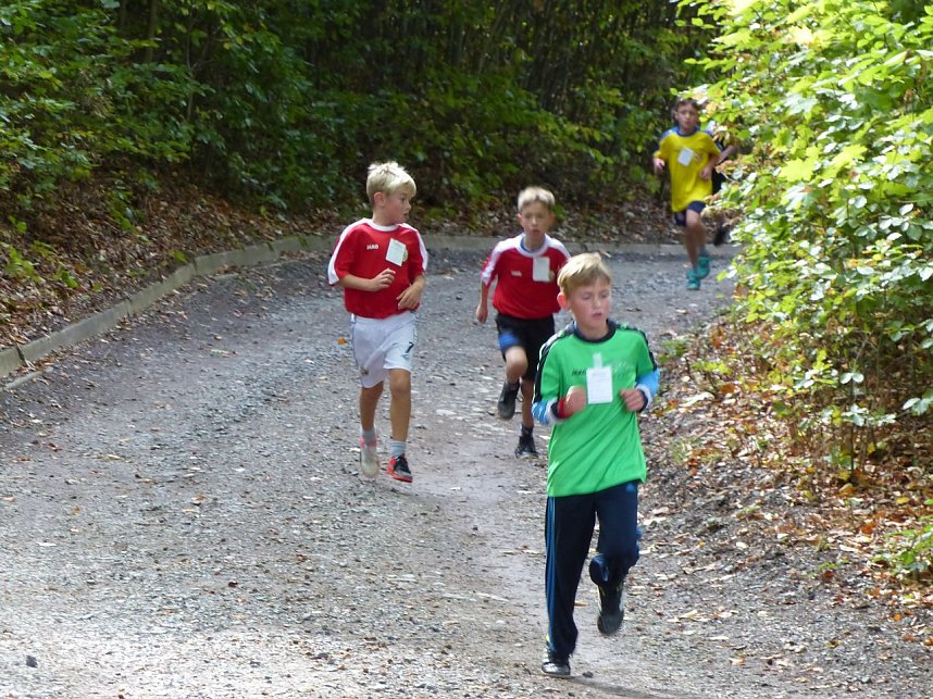 Herbstcross im Nordh&auml;user Gehege