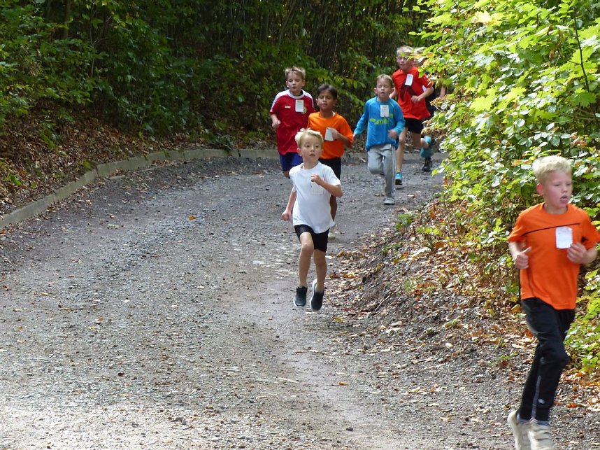 Herbstcross im Nordh&auml;user Gehege