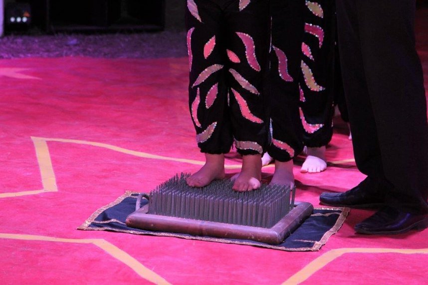 Zirkusprojekt in Niedersachswerfen