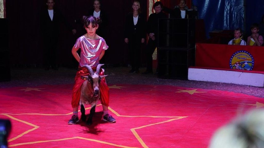 Zirkusprojekt in Niedersachswerfen