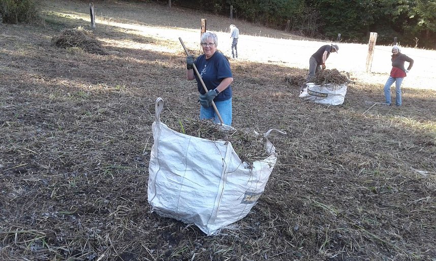 Zehn Enthusiasten im Feuchtgebiet