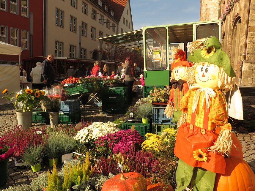Buntes Treiben auf dem Nordh&auml;user "Marktplatz"