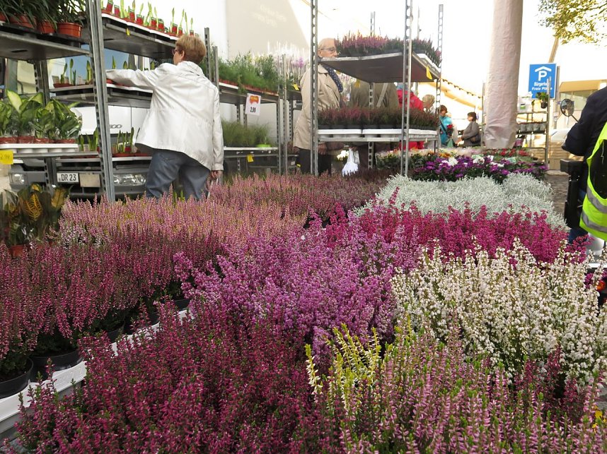 Buntes Treiben auf dem Nordh&auml;user "Marktplatz"