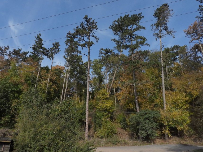Herbstlicher Spaziergang