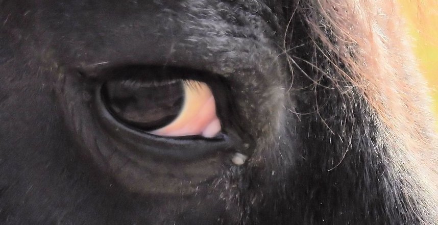 Herbstlicher Spaziergang