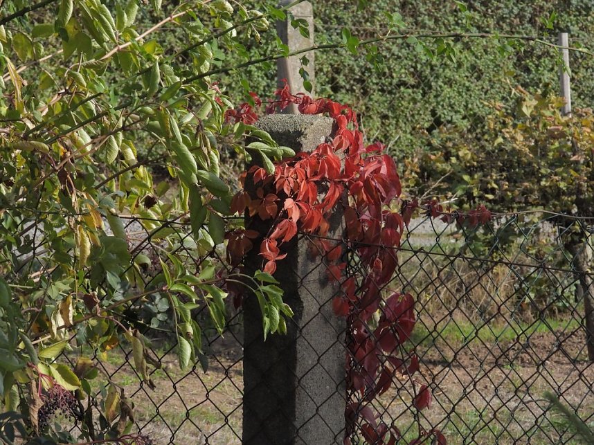 Herbstlicher Spaziergang