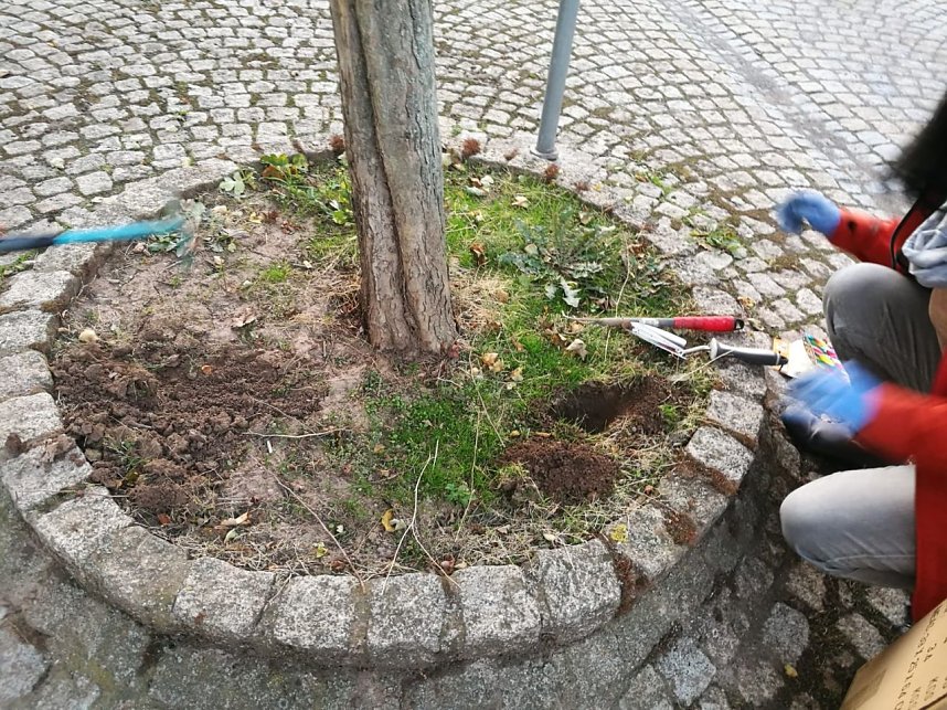 Heringen wurde sch&ouml;ner