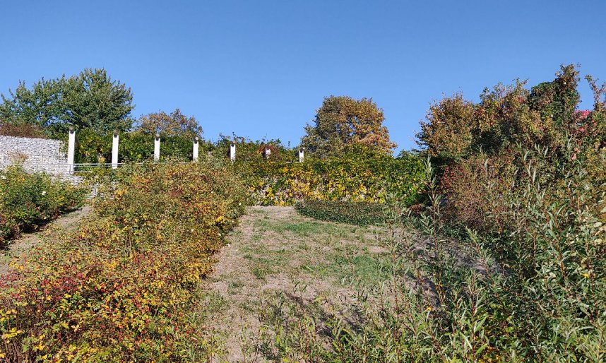 Farbenpracht auf dem Petersberg und in der Luft