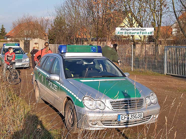 Fahnung nach Schweinen