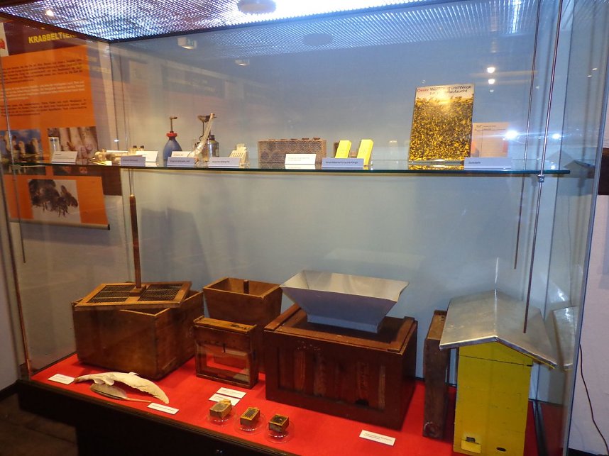 Summende Sechsbeiner im Tabakspeicher