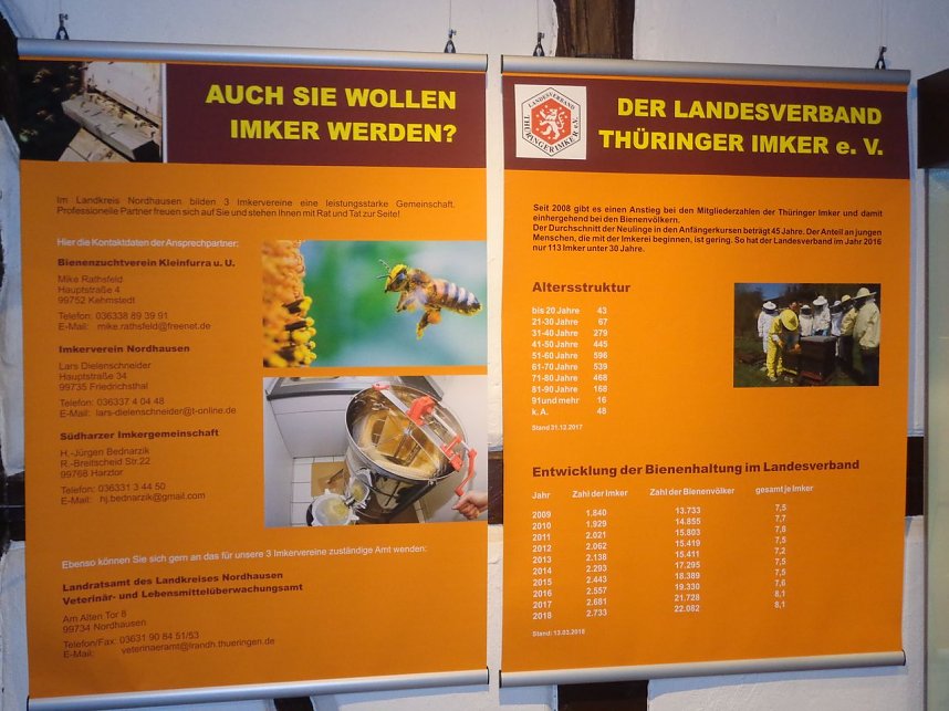 Summende Sechsbeiner im Tabakspeicher