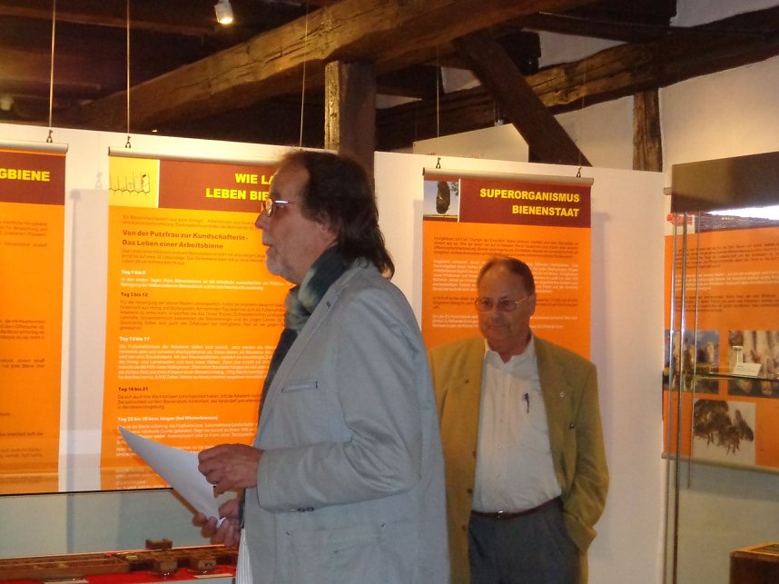 Summende Sechsbeiner im Tabakspeicher