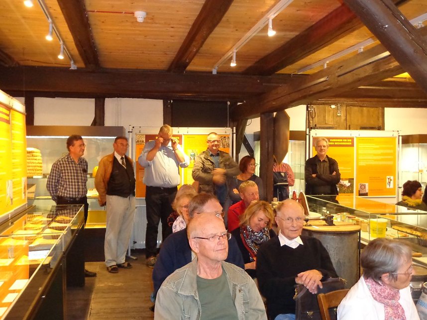 Summende Sechsbeiner im Tabakspeicher