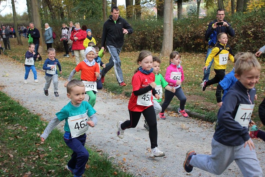 Stadtparklauf in Sondershausen (2)