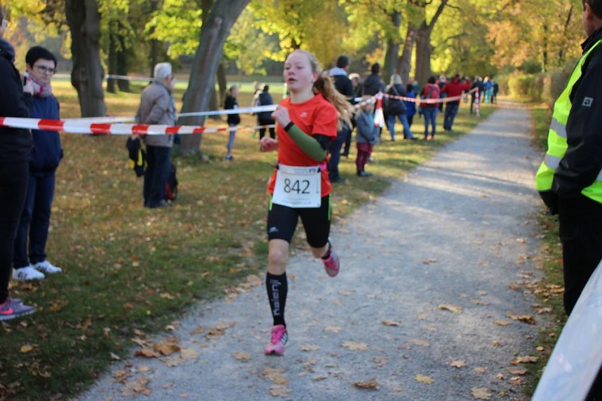 Stadtparklauf in Sondershausen (2)