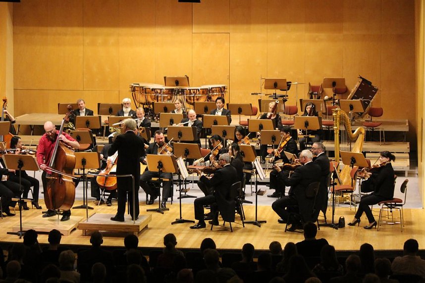 Virtuos am Kontrabass