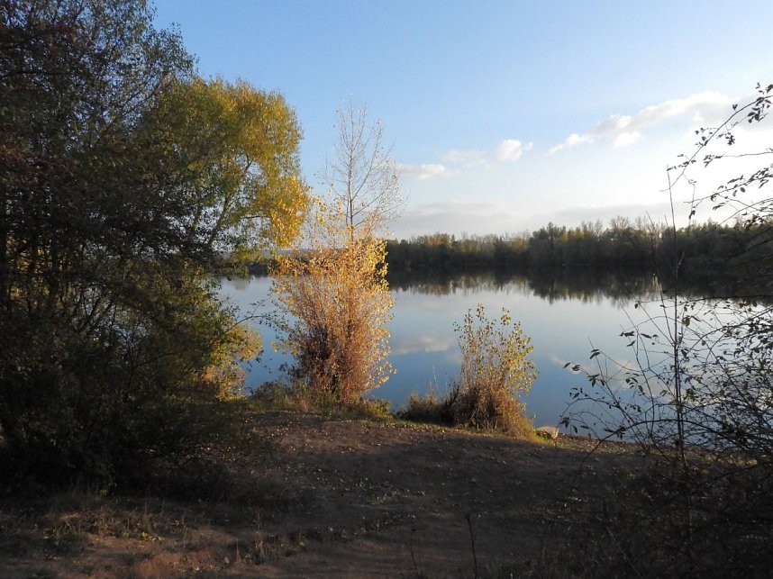 Eine Runde Kiesteich