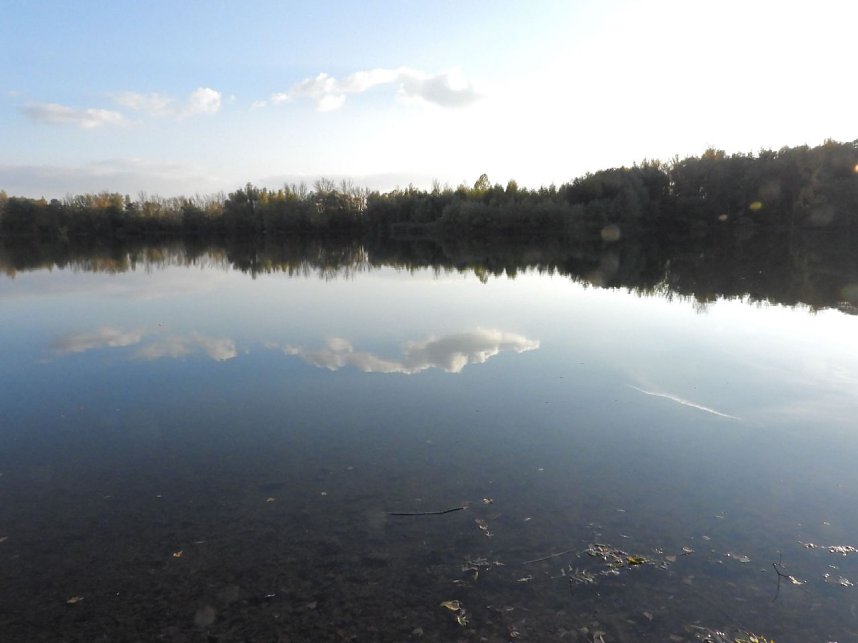 Eine Runde Kiesteich