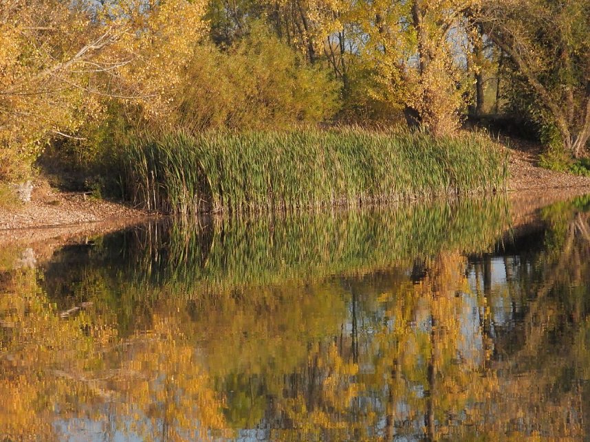 Eine Runde Kiesteich