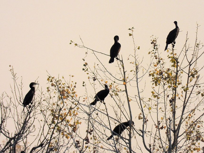 Eine Runde Kiesteich