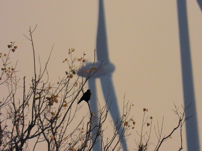 Eine Runde Kiesteich