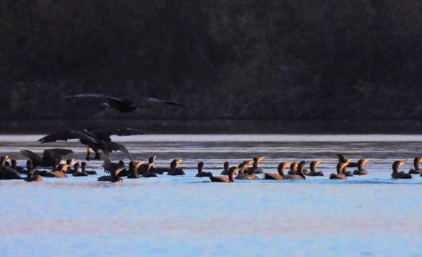 Eine Runde Kiesteich