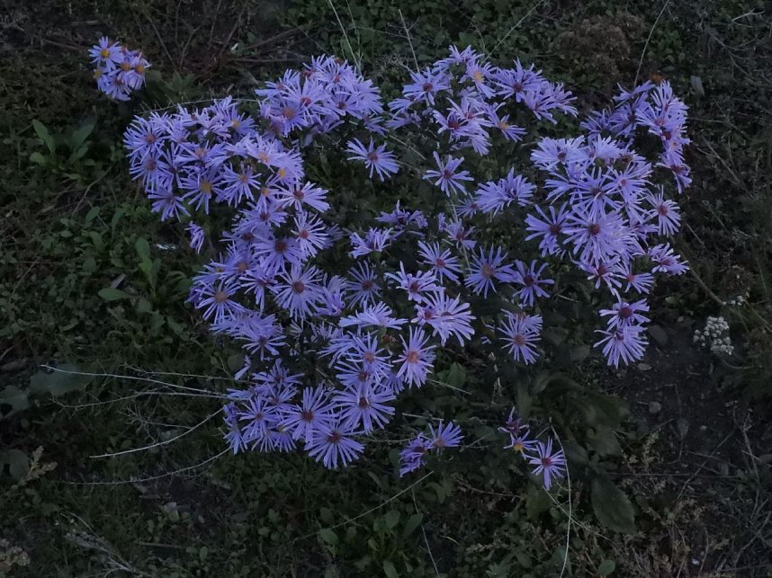 Eine Runde Kiesteich