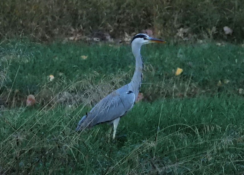 Eine Runde Kiesteich