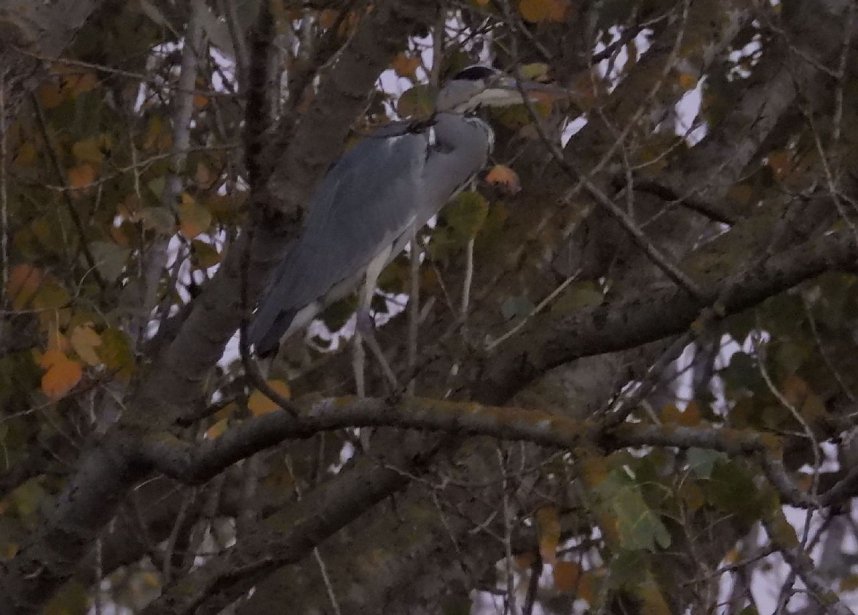 Eine Runde Kiesteich