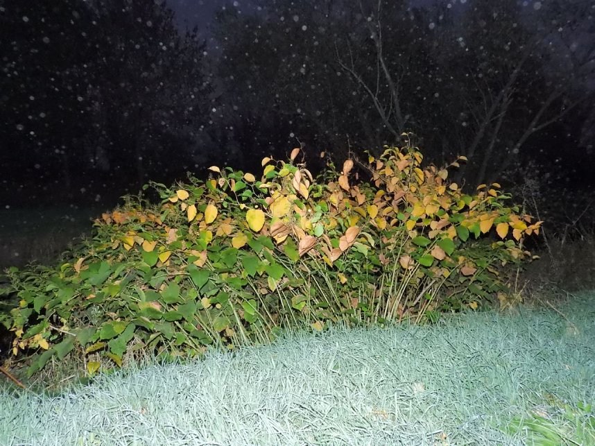 Eine Runde Kiesteich