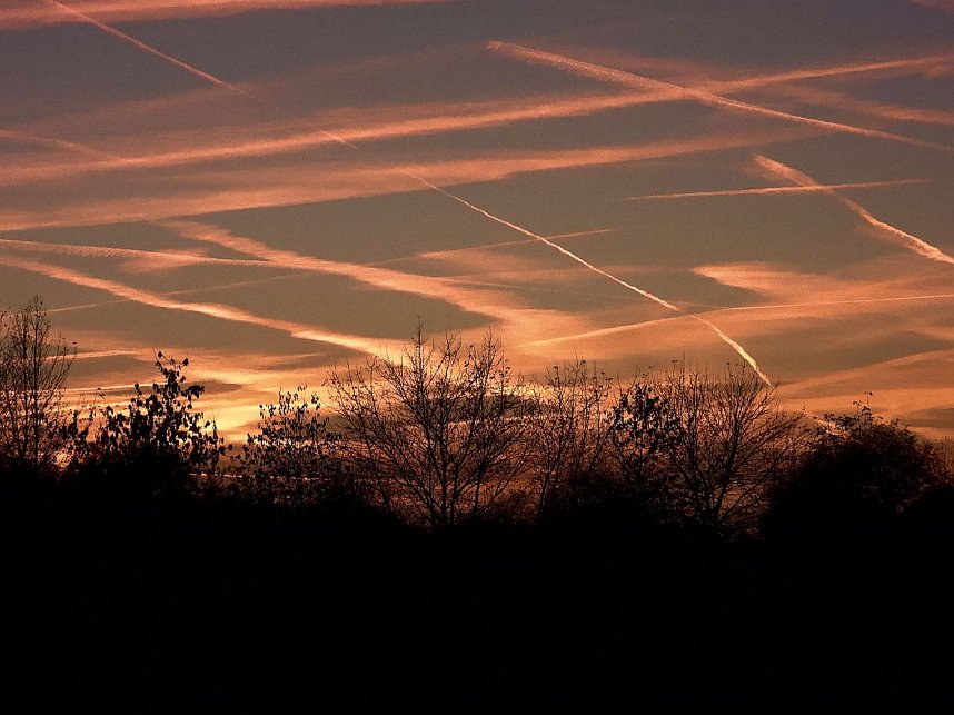 Eine Runde Kiesteich