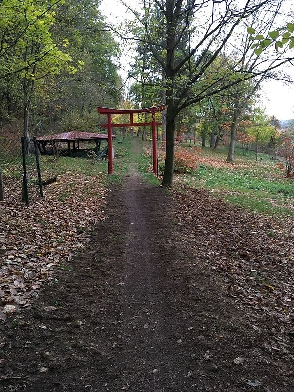 Nun kann er kommen, der Winter�