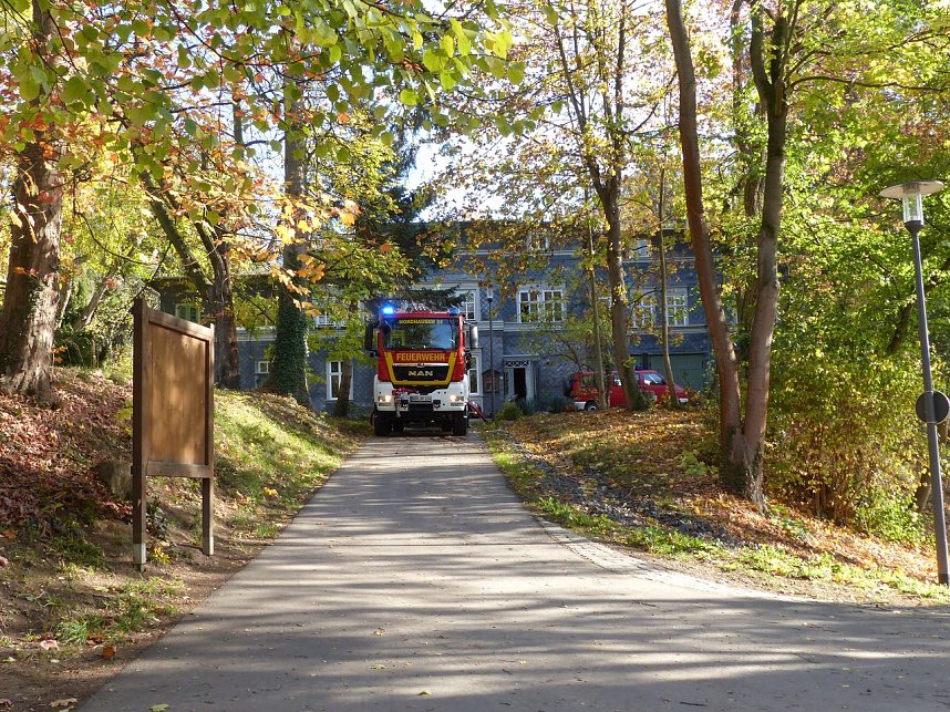 Hohler Baumstamm wurde in Brand gesetzt