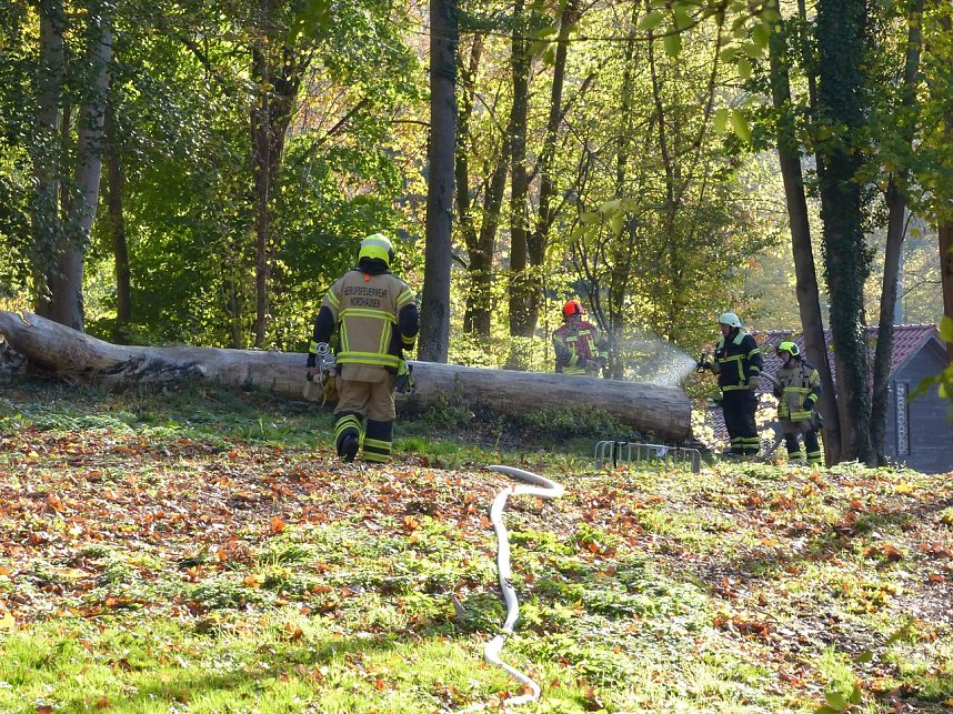 Hohler Baumstamm wurde in Brand gesetzt