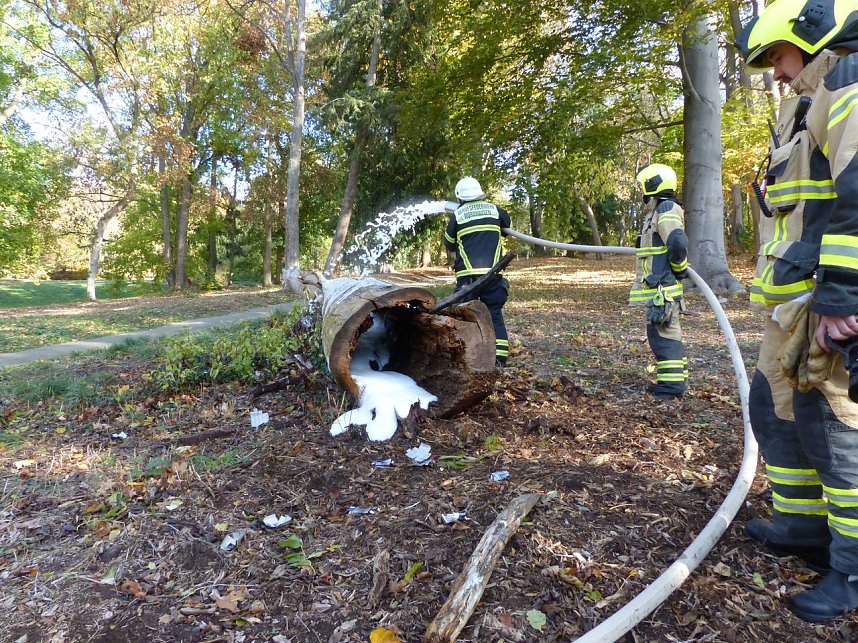 Hohler Baumstamm wurde in Brand gesetzt