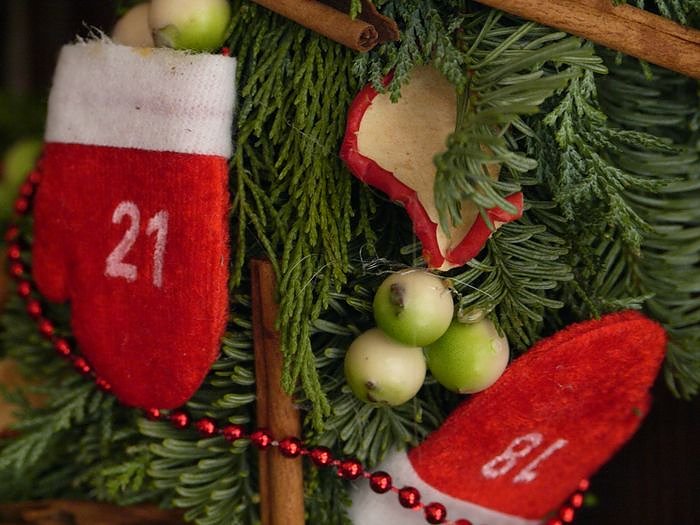 B&auml;ren und andere Freunde