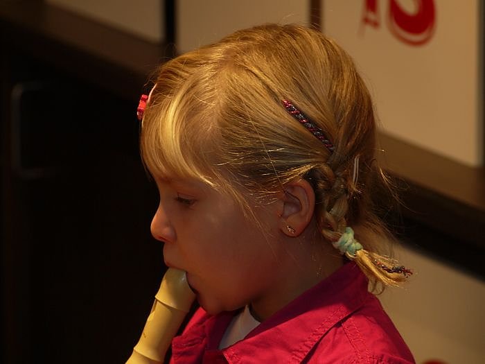 B&auml;ren und andere Freunde