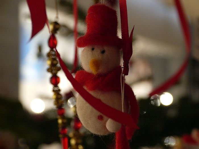 B&auml;ren und andere Freunde