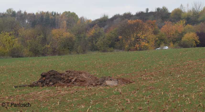 Eine Verdachtsstelle