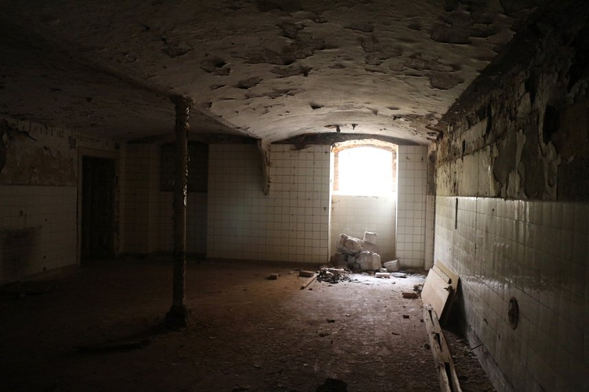 Besuch auf dem Lindenhof