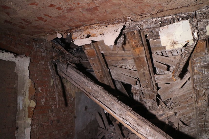 Besuch auf dem Lindenhof