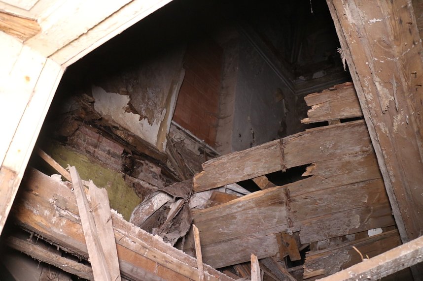 Besuch auf dem Lindenhof