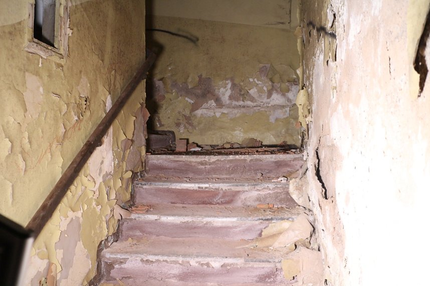 Besuch auf dem Lindenhof