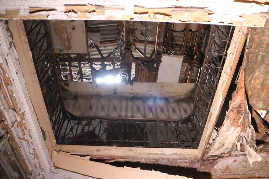 Besuch auf dem Lindenhof