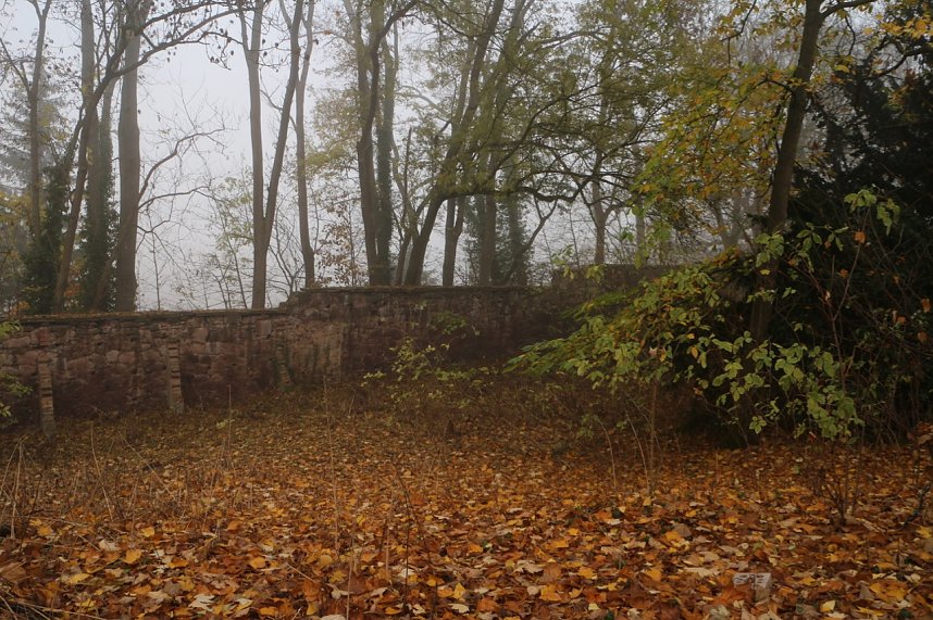Besuch auf dem Lindenhof