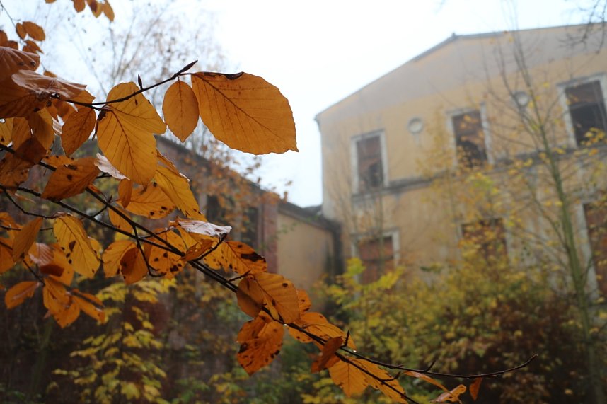 Besuch auf dem Lindenhof